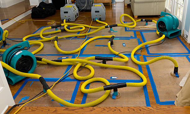 Professional Burst Pipe Water Damage technician working in Chicopee, MA